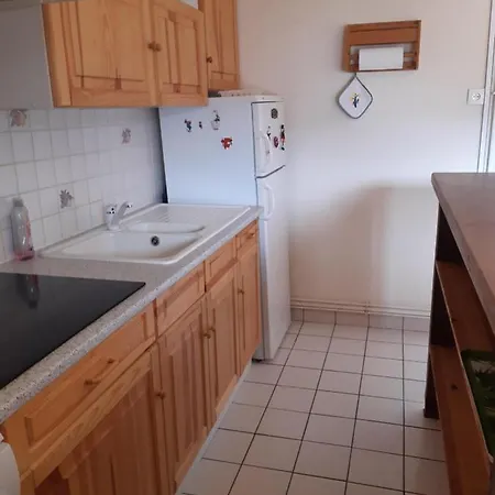 דירה Le Parad'hiver ג'רארדמר